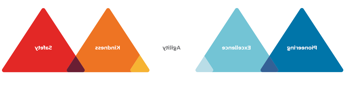 PEAKS Values